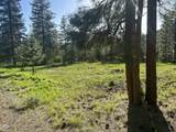 1082 Paper Birch Way - Photo 4