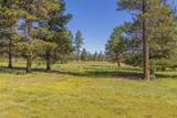  Williamson River Road - Photo 15