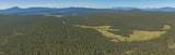  Williamson River Road - Photo 24