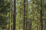  Williamson River Road - Photo 35