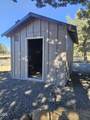 13729 Airfield Lane - Photo 19