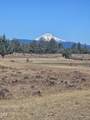 13729 Airfield Lane - Photo 33
