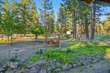 28333 Yonna Wood Road - Photo 3