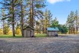 28333 Yonna Wood Road - Photo 43