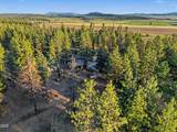 28333 Yonna Wood Road - Photo 47