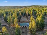 28333 Yonna Wood Road - Photo 56