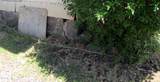 321 Crater Lake Parkway - Photo 17
