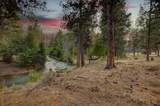 16430 Highway 126 - Photo 48