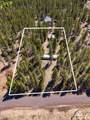 11614 Alderwood Drive - Photo 34