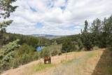 26547 Chimney Gulch Road - Photo 12