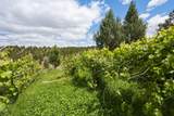26547 Chimney Gulch Road - Photo 55