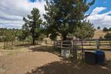 26547 Chimney Gulch Road - Photo 57