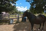 26547 Chimney Gulch Road - Photo 59