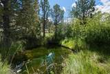 26547 Chimney Gulch Road - Photo 67