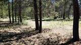 52798 Murry Drive - Photo 8