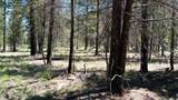 52798 Murry Drive - Photo 9