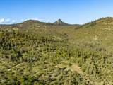22494 Jefferson Road - Photo 4
