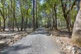 1740 Queens Branch Road - Photo 10