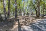 1740 Queens Branch Road - Photo 13