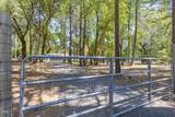 1740 Queens Branch Road - Photo 20