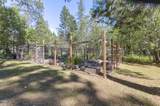 1740 Queens Branch Road - Photo 22