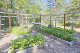 1740 Queens Branch Road - Photo 28