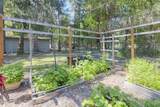 1740 Queens Branch Road - Photo 29