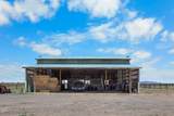 24605 Dodds Road - Photo 64