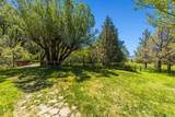 25966 Sky Trails Road - Photo 52