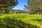 25966 Sky Trails Road - Photo 53