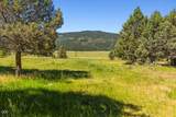 25966 Sky Trails Road - Photo 54
