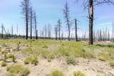 50146 Darlene Way - Photo 3
