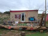 24425 Pheasant Lane - Photo 5