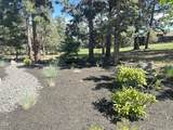 2533 Pine Terrace Drive - Photo 35