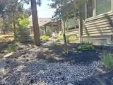 2533 Pine Terrace Drive - Photo 47
