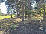 2533 Pine Terrace Drive - Photo 48