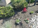 2533 Pine Terrace Drive - Photo 57