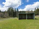 910 Reeves Creek Road - Photo 39