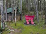910 Reeves Creek Road - Photo 40