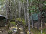 910 Reeves Creek Road - Photo 41