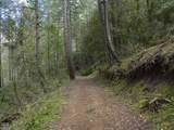 910 Reeves Creek Road - Photo 43