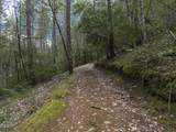910 Reeves Creek Road - Photo 44