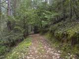 910 Reeves Creek Road - Photo 45