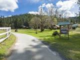 910 Reeves Creek Road - Photo 8