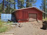 12169 Night Owl Drive - Photo 12