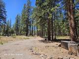 12169 Night Owl Drive - Photo 14