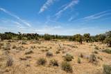  Brasada Ranch Road - Photo 12