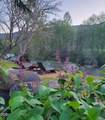 3550 Upper Applegate Road - Photo 61