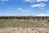 12213 Ranch Road - Photo 15