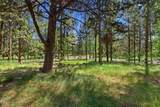16693 Wagon Trail - Photo 40